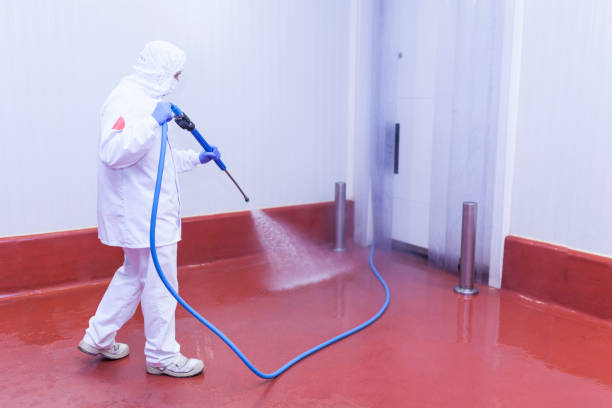 Best Soft Washing  in Orland Park, IL