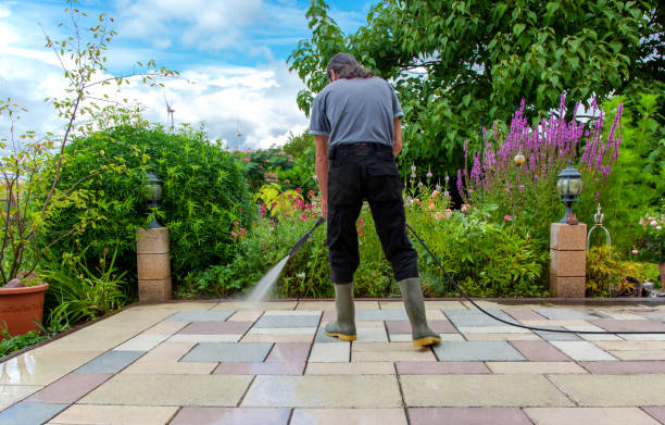 Best Driveway Pressure Washing  in Orland Park, IL
